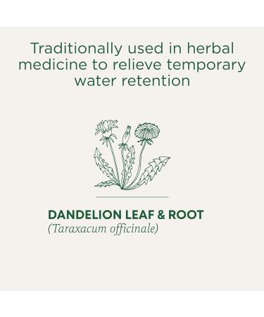 Traditional Medicinals - Organic Weightless Dandelion Hibiscus Herbal Tea (Pack of 6) - Relieves Temporary Water Retention - Fair Trade Ingredients - 96 Tea Bags Total 16 Count (Pack of 6) Weightless Dandelion Hibiscus Herbal Tea - Buy Online on GoSupps.com