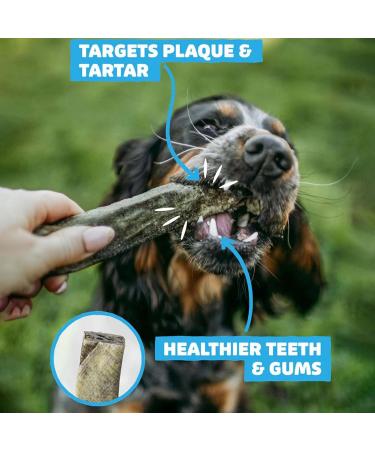 SKIPPER'S Fish Skin Dental Sticks - Natural Dog Dried Treats Low in Fat Healthy Chews Long Lasting Grain Free Dog Treat | White-Fish Skin Sticks For Dogs (Regular 250g) 250 g (Pack of 1) Regular - Buy Online on GoSupps.com