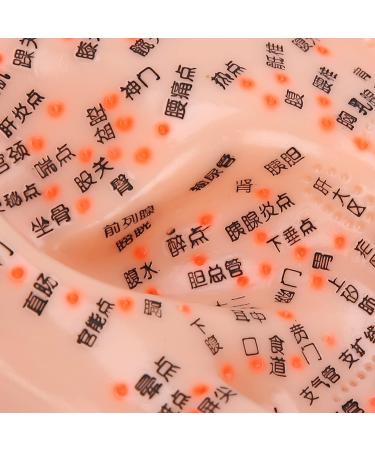 Buy Anggrek Ear Acupuncture Model - Effective Ear Massage & Acupuncture Points Kit for Home Use - International Shipping Available - Buy Online on GoSupps.com