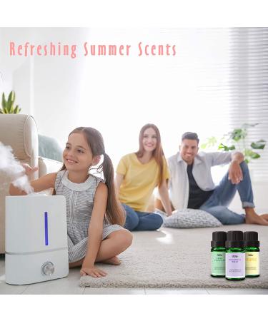 MitFlor Summer Fragrance Oil Gift Set - Ocean, Midsummer Night, Pineapple Scents - 6x10ml for Diffuser, Soap & Candle Making - Buy Online on GoSupps.com