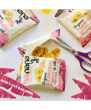 Barnana Organic Plantain Chips Himalayan Pink Salt Snack Size - Paleo Vegan Grain Free Chips 2 Ounce (Pack of 6) - Buy Online on GoSupps.com