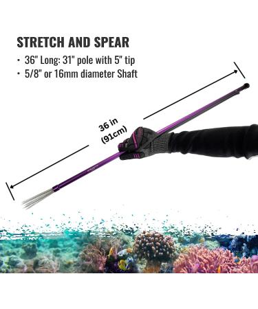 Spearfishing Diving Pole Spear - Aquatic Hunt 36 Lionfish Spear with Non-Barbed Tip - Buy Online on GoSupps.com