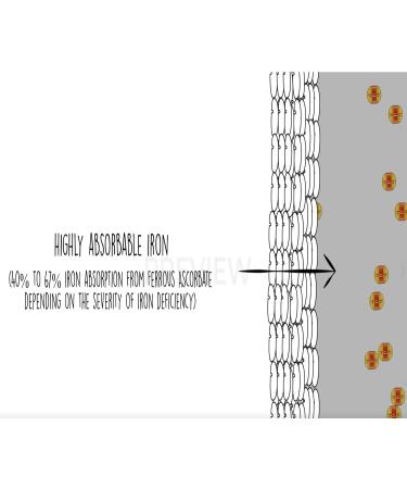 EBMfer 100mg Iron with Vitamin C - High Potency Vegan Capsules | Gentle on Stomach | 30 Count - Buy Online on GoSupps.com