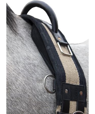 HKM Horses Lunging Belt with Handle | Durable Canvas & Leather | Pony Black-Beige - Shop Internationally - Buy Online on GoSupps.com