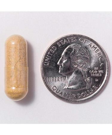 ProCare Health Bariatric Multivitamin Capsule with 45mg Iron - 90ct Bottle - Buy Online on GoSupps.com