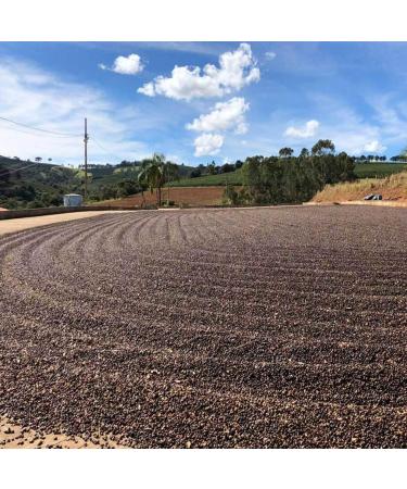 Rave Coffee - Brazil Fazenda Campestre N 109 Single Origin Espresso Grind Freshly Roasted and Ground 250g - Buy Online on GoSupps.com