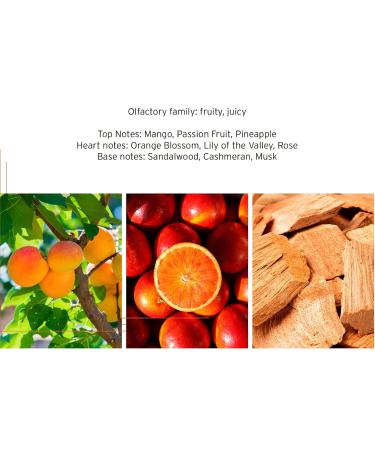 HEAD Bliss Womens Fragrance Perfume Eau De Toilette EDT 100 milliliters / 3.4 ounces - Buy Online on GoSupps.com