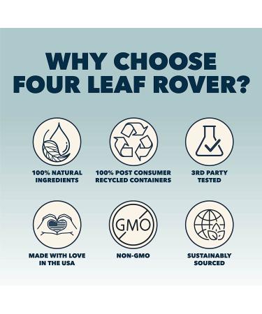 FOUR LEAF ROVER Green Eggs Joint & Mobility Support for Dogs - Vet Formulated with Glucosamine & Chondroitin - Easy to Mix & Delicious - 30-Day Supply - Buy Online on GoSupps.com