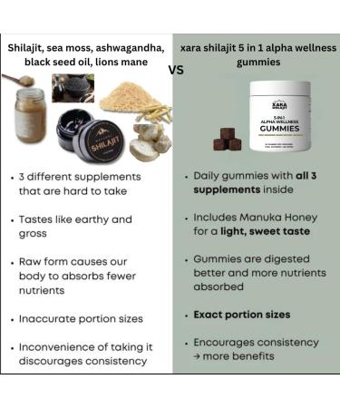 5-in-1 Alpha Wellness Gummies for Men Pure Himalayan Shilajit Sea Moss Ashwagandha Lion's Mane & Blask Seed Oil 85+ Trace Minerals No Added Sugar Vitality Support - Buy Online on GoSupps.com