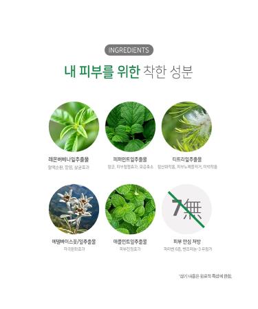Mint Pore Korean Face Wash Cleansing Foam - Acne Prone Skin Facial Cleanser 130g | Kwailnara - Buy Online on GoSupps.com