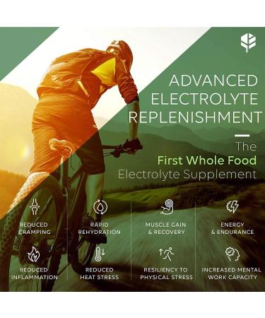 Whole Food Electrolyte Supplements - 120 Tablets for Energy Hydration & Rejuvenation | Magnesium Zinc Calcium & Potassium - Buy Online on GoSupps.com