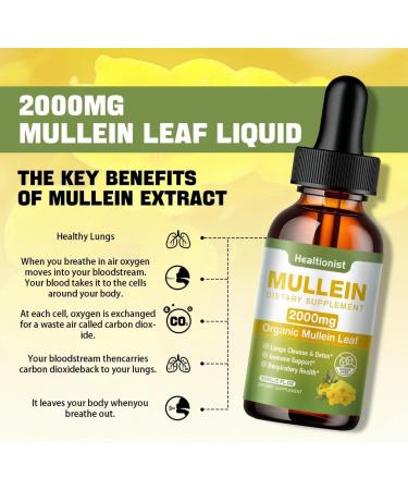 Buy Mullein Drops for Lungs - Immune Support Herbal Tincture 2 fl oz | Detox & Respiratory Health Supplement - Buy Online on GoSupps.com