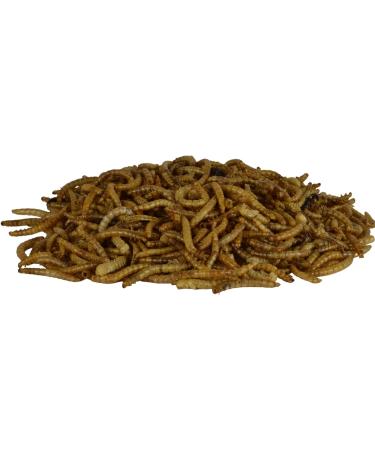 Supa Dried Mealworms for Wild Birds 1 Litre Bucket | High Energy Protein Rich Treat For Garden Birds | Attract More Birds To Your Garden | Quality Wild Bird Food Mealworm 1 l (Pack of 1) - Buy Online on GoSupps.com