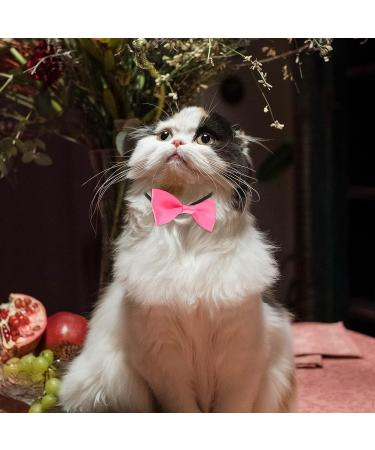 Balacoo Hamster Hat and Bowtie - Cool Pet Outfit for Small Animals Such as Rats, Guinea Pigs, and Ferrets - Pink - Buy Online on GoSupps.com