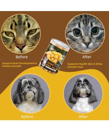 Freeze-Dried Quail Egg Yolk for Cats and Dogs Training 240g Healthy Tasty Freeze-Dried Pet Food Limited Ingredient Quail Egg Yolk Natural High Protein Pet Treats Snacks for Dogs Cats - Buy Online on GoSupps.com