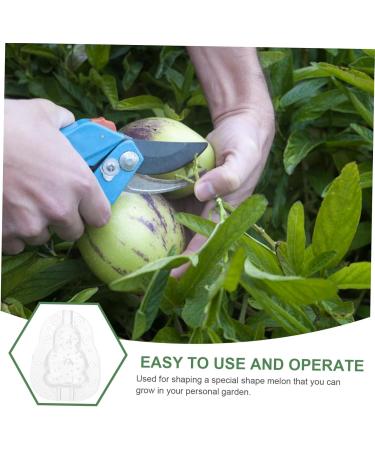 VANZACK Gardening Tools 3pcs Vegetable Fruit Ginseng Cucumber Adorable Forming Melon Gourd Garden Tools Transparent 9x8cm - Buy Online on GoSupps.com