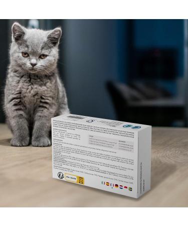 Suprapet Joints Dogs and Cats - Bone and Cartilage Support 30 tablets - Natural complementary food with Boswelia Glucosamine Chondroitin MSM and Devil's Claw Vitamin C - Buy Online on GoSupps.com