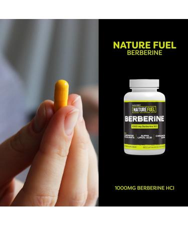 Healthy Delights Nature Fuel Berberine Capsules Berberine Supplement with Berberine HCl Chromium Picolinate Alpha Lipoic Acid and Cinnamon Bark 60 Count 30 Servings 60 Count (Pack of 1) - Buy Online on GoSupps.com