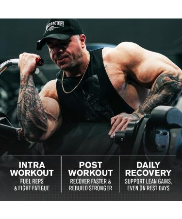 Jacked Factory Creatine + BCAAs - Creatine Monohydrate + BCAA Powder for Increased Post-Workout Recovery Performance Lean Muscle Growth & Reduced Fatigue - 30 Servings Unflavored & Blue Raspberry - Buy Online on GoSupps.com