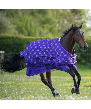 Gallop Equestrian Gallop Trojan Monarch 100g Lightweight Outdoor Horse Turnout Rug Standard Neck (6'6'' Purple) 6'6" Purple - Buy Online on GoSupps.com