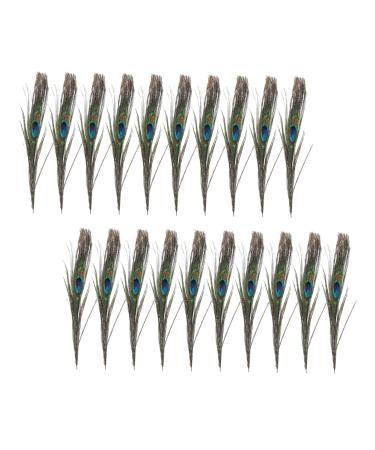 Lurrose 50pcs Peacock Tail Eye s Peacock s Peacock Tail s Peacock Eye s Crafts Natural