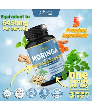 Organic Moringa Extract Capsules 6450mg with Ashwagandha, Tulsi, Ginger, Turmeric | Energy Booster & Immune Support | 90 Capsules - Buy Online on GoSupps.com
