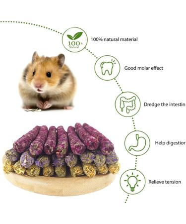 Hutvd Rabbit Cheese Stuff + Dental Care Chewing Toys for Small Animals | Natural Rose Marigold & Forget-Me-Not Sticks for Hamsters Guinea Pigs & Chinchillas - Buy Online on GoSupps.com
