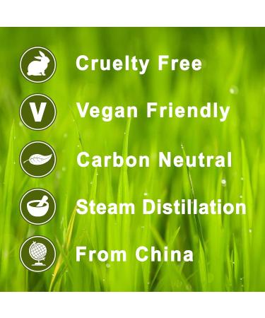 Calmer Solutions 100% Pure Ginger Essential Oil 10ml - Aromatherapy Oil (Pack of 1) - Buy Online on GoSupps.com
