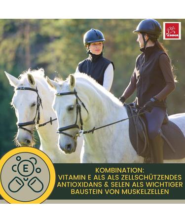 Mineral feed for horses biotin zinc selenium brewer's yeast nutritional supplement for horses with manganese and magnesium + amino acids vitamin B complex coat changer - Buy Online on GoSupps.com