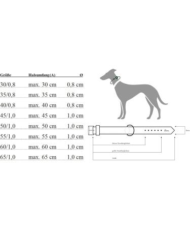 HUNTER Freestyle Dressage Dog Collar - Robust Weatherproof XS-S Beige - Ideal for International Shipping - Buy Online on GoSupps.com