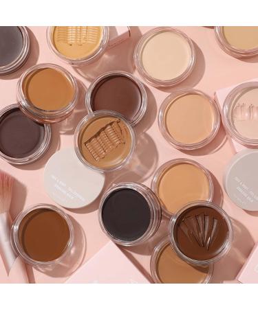 Long Lasting Concealer for Dark Circles 15 Colors Evens Skin Tone Covers Dark Circles and Brightens Skin Tone Makeup White Foundation (K One Size) - Buy Online on GoSupps.com
