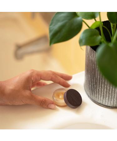 Burt's Bees Lip Balm & Lip Treatment Set - Overnight Intensive Care & Conditioning Scrub - 0.50 oz (Pack of 1) - Buy Online on GoSupps.com