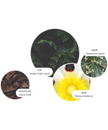 Molton Brown Labdanum Dusk Gel de bain et douche 300 ml - Buy Online on GoSupps.com