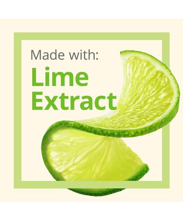 Tree Hut Shea Sugar Scrub Coconut Lime 18oz (Pack of 3) - 3 Pack Coconut Lime Scrub 1.125lb Total - Buy Online on GoSupps.com