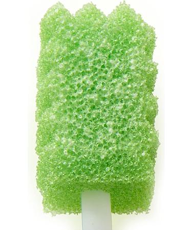 Toothette Short Term Swab System with Perox-A-Mint Solution - Oral Care Swabs for Effective Dental Hygiene - Buy Online on GoSupps.com