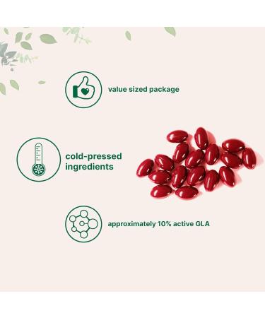 Micro Ingredients Evening Primrose Oil 1300mg Per Serving 240 Softgels | Enhanced with 40mg Black Cohosh Extract Cold Pressed 10% Active GLA Non-GMO No Gluten Easy to Swallow - Buy Online on GoSupps.com