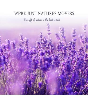 Organic 250g Dried Lavender Flower Buds - Natural Fragrance for Tea, Soap Making, Baking & Baths | Hslife 5A Level - Buy Online on GoSupps.com