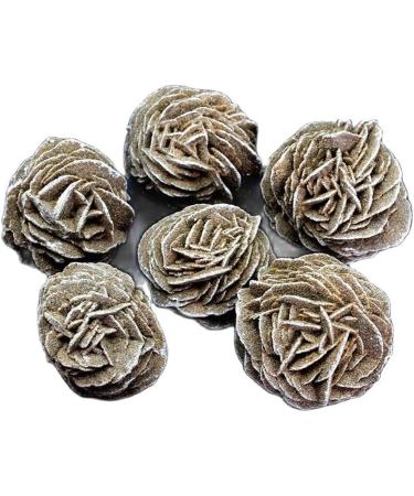 1pcs Natural Desert Rose Seleniteraw Crystal Stone Specimen Rough Sample Cluster fengshui Decor NaturalReiki Decoration Reiki Crystal Stone (Size : 30-50g) - Buy Online on GoSupps.com