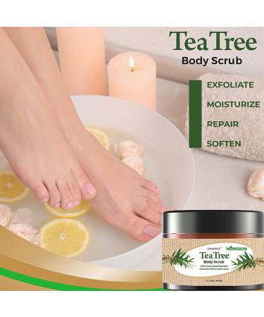 Chamuel Tea Tree Body & Foot Scrub - 100% Natural Exfoliating Scrub with Dead Sea Salt & Plant-based Stem Cells - Ginger & Essential Oils Blend for Rejuvenation & Soothing Dry Skin (15.1oz) - Buy Online on GoSupps.com