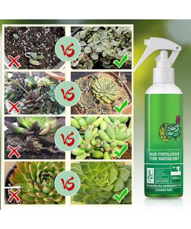 Generic Succulent Plant Bud Fertilizers Organic Succulent Plant Bud Fertilizer for Succulent Planting Accessories - Buy Online on GoSupps.com