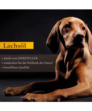 Naturzade Salmon Oil 3 Litres (3x1L) for Dogs & Horses | Omega 3 & 6 Fatty Acids | Premium Fish Oil for BARF Diet - Buy Online on GoSupps.com