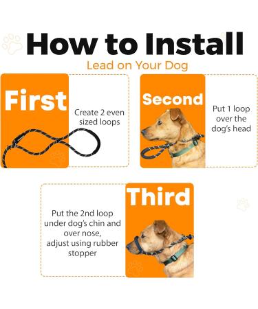 Total Pet Anti-Pull Figure 8 Dog Lead with Padded Nose Support - Medium/Large Black - Buy Online on GoSupps.com