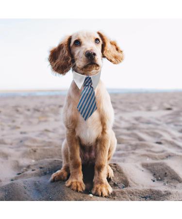 Molain 2 Pcs Pet Cat Dog Bow Tie Cat Collar Bow Tie Adjustable Bowtie for Puppy Party Formal Neck Ties for Dogs & Cats Dog Necktie Costumes for Dogs 30cm/11.8in Black+Blue Stripe Dog Collar Bow Tie 2 Colors Pet Bow Ties - Buy Online on GoSupps.com