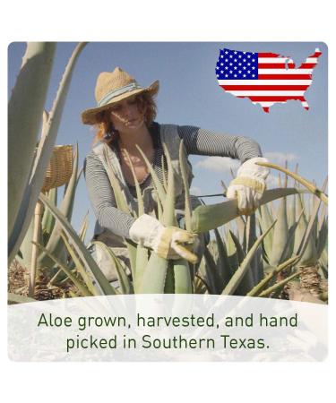 Organic Aloe Vera Spray for Body & Hair - Extra Strong Formula - Fast Absorbing, No Sticky Residue - Made in USA - 12 fl oz - Buy Online on GoSupps.com