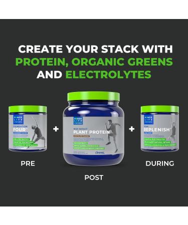 Buy POWERLIFE Tony Horton High Impact Plant Protein Powder - Vegan Keto No Sugar Added 3000 MG HMB (Chocolate - New Formula) | International Shipping Available - Buy Online on GoSupps.com