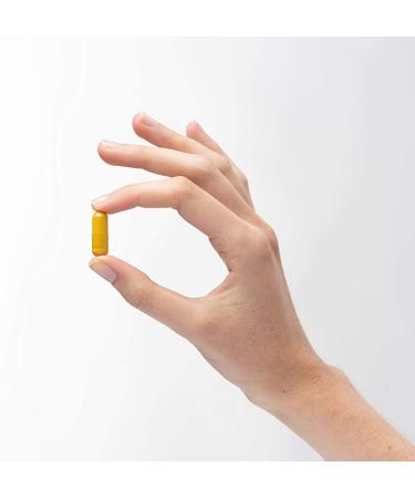 Buy Dr. Mercola Fermented Turmeric Capsules - 60 Count for Enhanced Wellness - Buy Online on GoSupps.com
