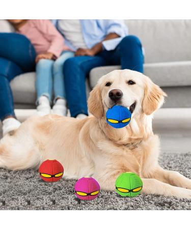 GUYAQ Pet Toy Flying Saucer Ball New Flying Saucer Ball Dog Toy Pet Flying Saucer Ball Flying Saucer Dog Toy Suitable for Cats and Dogs (Ordinary Model Blue) Ordinary Model Blue - Buy Online on GoSupps.com