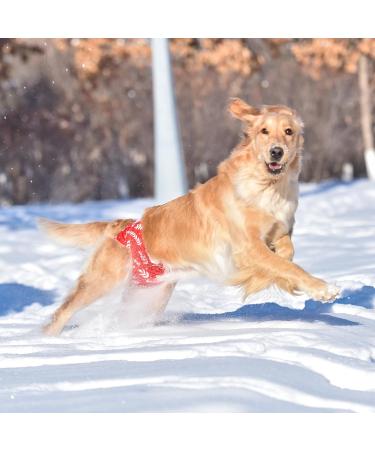 Cutebone Christmas Washable Dog Diapers | Reusable High-Suction Premium Diapers for Bitches (3 Pack) - Christmas XL (66-86.5cm) - Buy Online on GoSupps.com