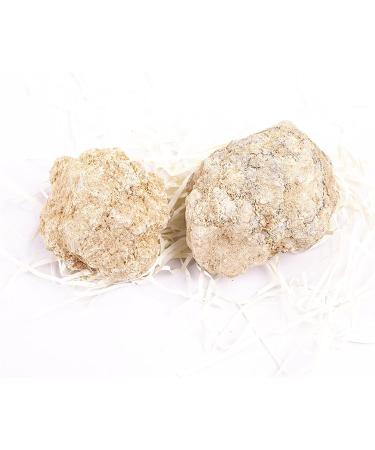 Natural Crystal Rough 500g Agate Irregular Geode Agate Crystals Complete Hollow Stone Specimen White Crystal Cavity Fun Cutting Stone Crafts Random size 500g - Buy Online on GoSupps.com