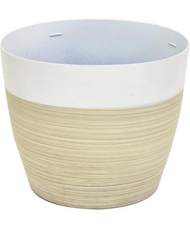 Costa Farms ZZ Plant in 12-Inch White-Natural Dcor Planter for Great Room Decor - Buy Online on GoSupps.com